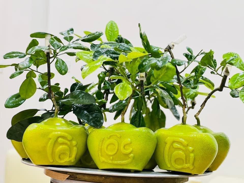Bưởi Tết đắp chữ nổi, hình rồng gần nửa triệu đồng/cặp vẫn không có hàng bán- Ảnh 4.