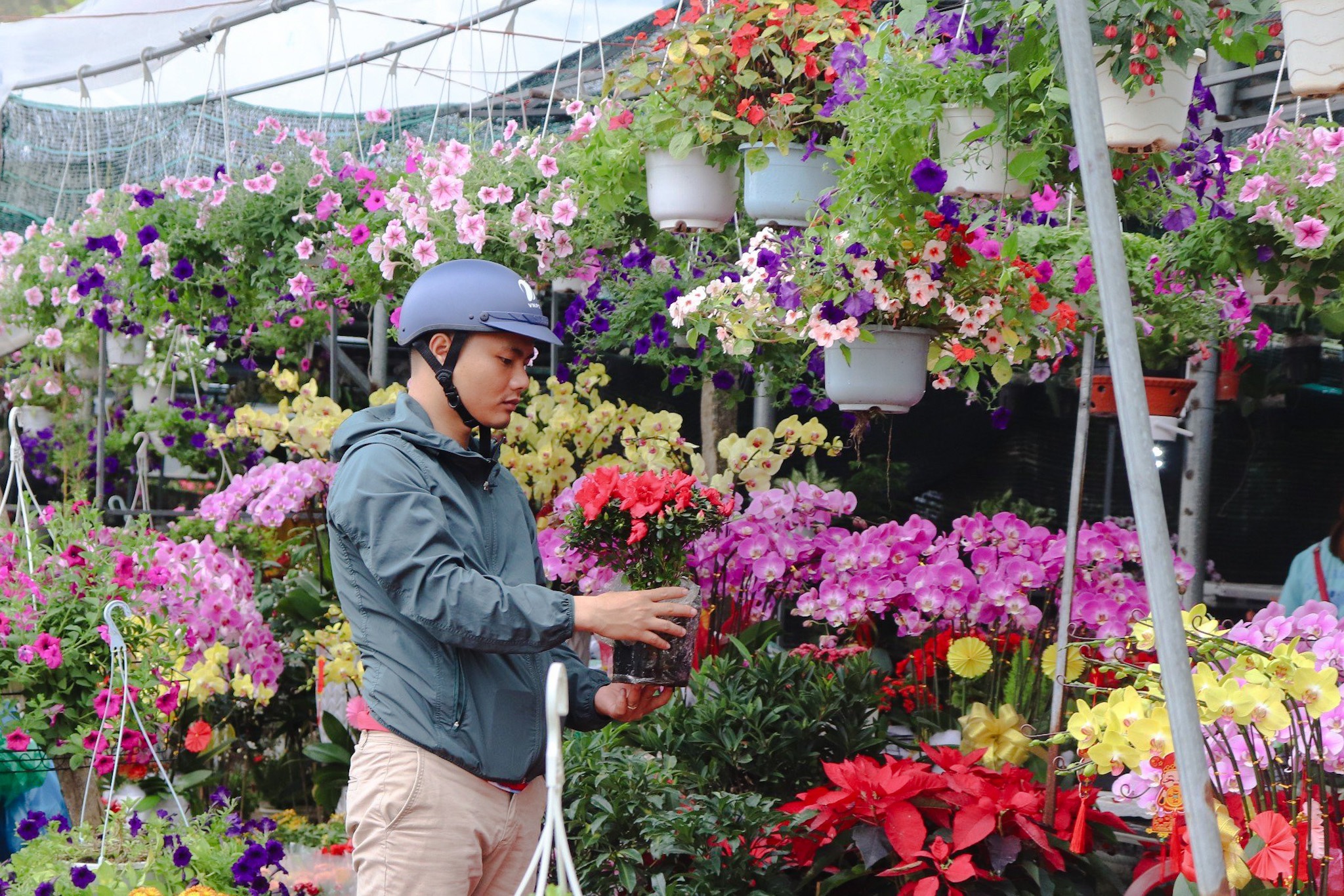 Tấp nập chợ hoa xuân Đà Nẵng, Quảng Ngãi ngày giáp tết- Ảnh 2.