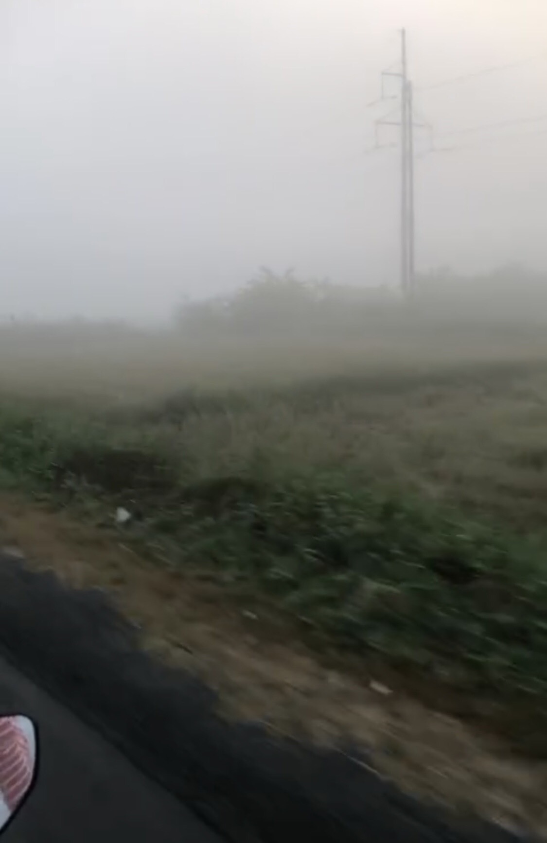 CLIP: Sương m&ugrave; trắng x&oacute;a khiến Bạc Li&ecirc;u như... Đ&agrave; Lạt!- Ảnh 2.