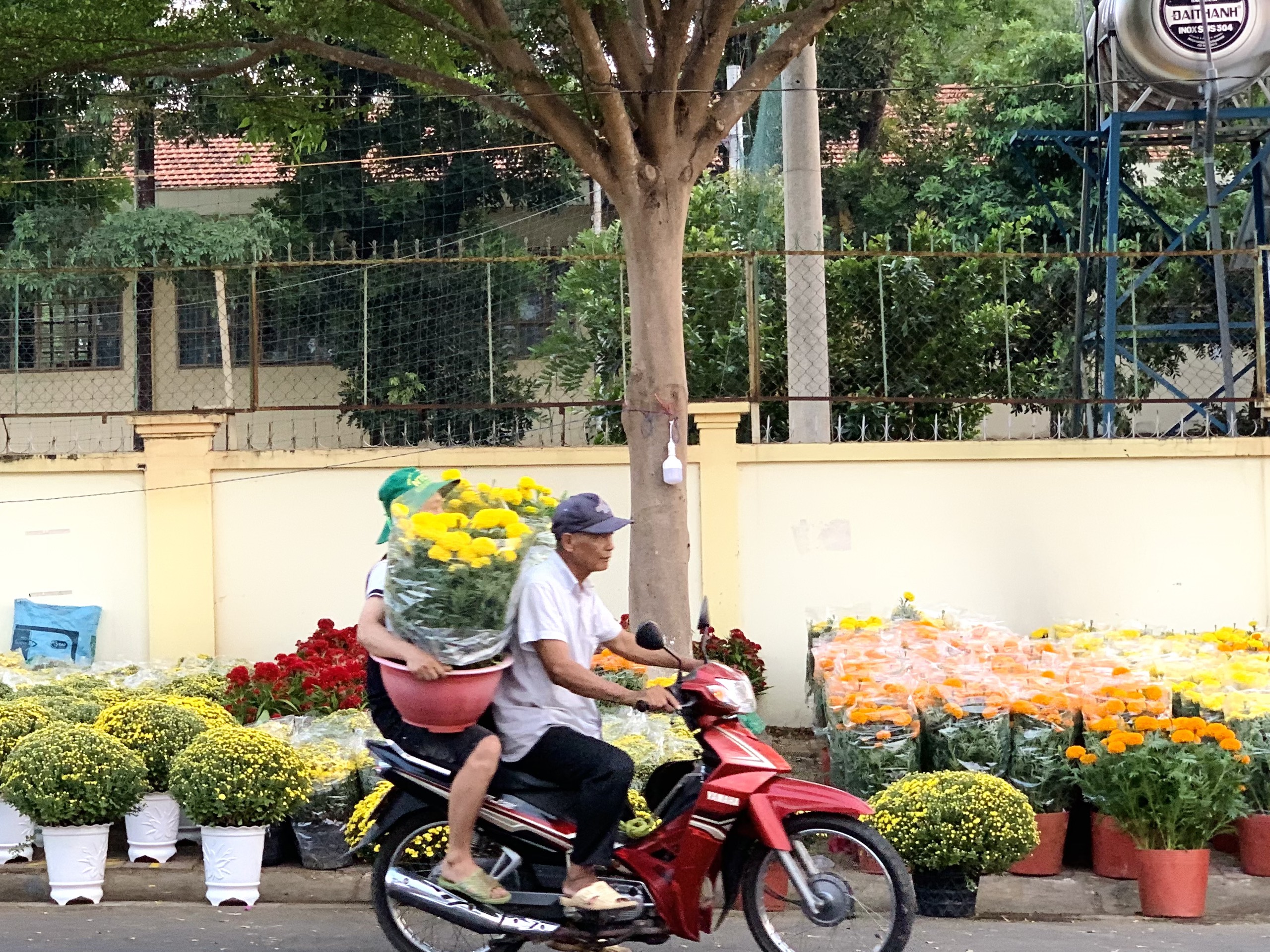 Rực rỡ chợ hoa xuân ngày cận Tết- Ảnh 2.