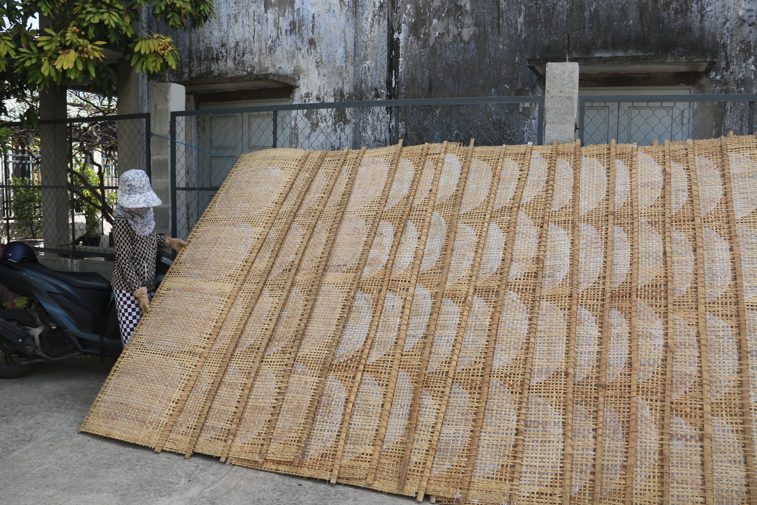 L&agrave;ng nghề b&aacute;nh tr&aacute;ng Ph&uacute; Long đỏ lửa- Ảnh 9.