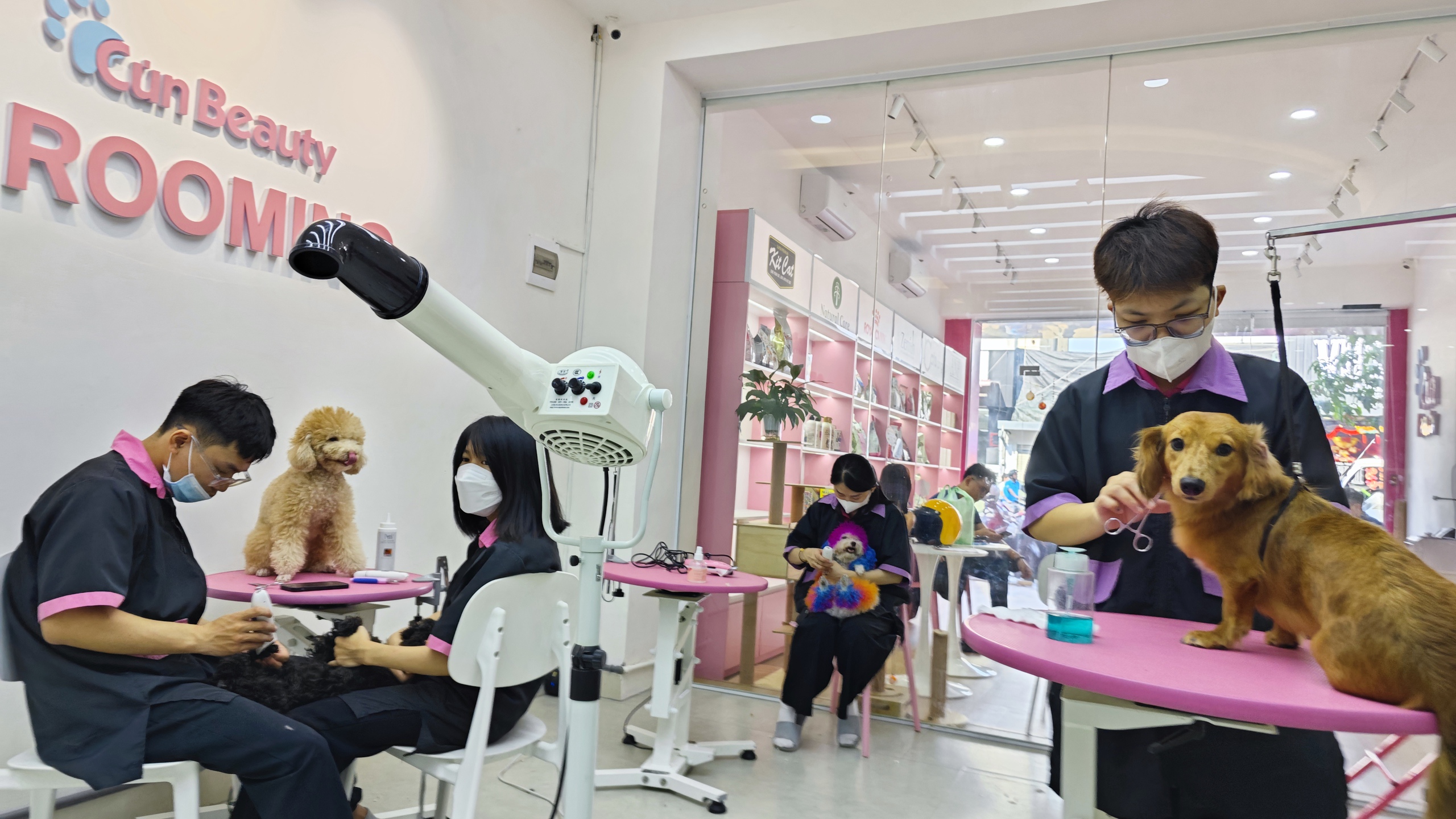 Kh&aacute;ch sạn cho th&uacute; cưng &ldquo;ch&aacute;y ph&ograve;ng&rdquo; dịp Tết- Ảnh 1.