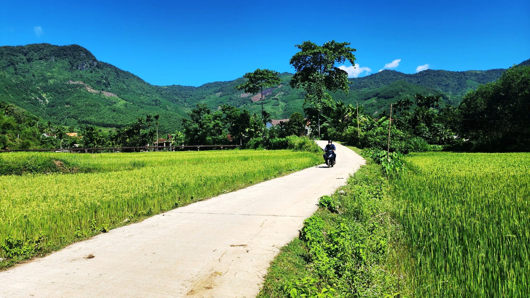 Đổi thay ở làng "bệnh lạ"- Ảnh 1.