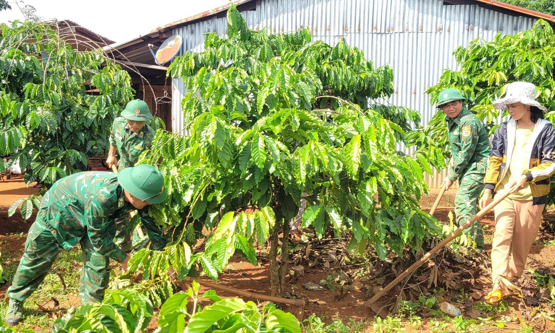 Bộ đội Bi&ecirc;n ph&ograve;ng gi&uacute;p d&acirc;n miền bi&ecirc;n viễn đ&oacute;n Tết- Ảnh 2.