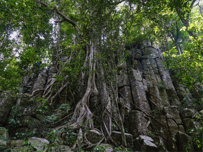 Kỳ th&uacute; th&agrave;nh đ&aacute; cổ T&agrave; Kơn- Ảnh 4.