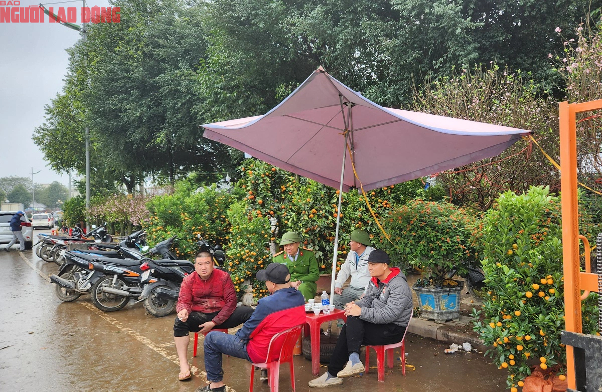 Tiểu thương đồng loạt "xả hàng" đào, quất vẫn ế ẩm chiều 29 Tết- Ảnh 13.