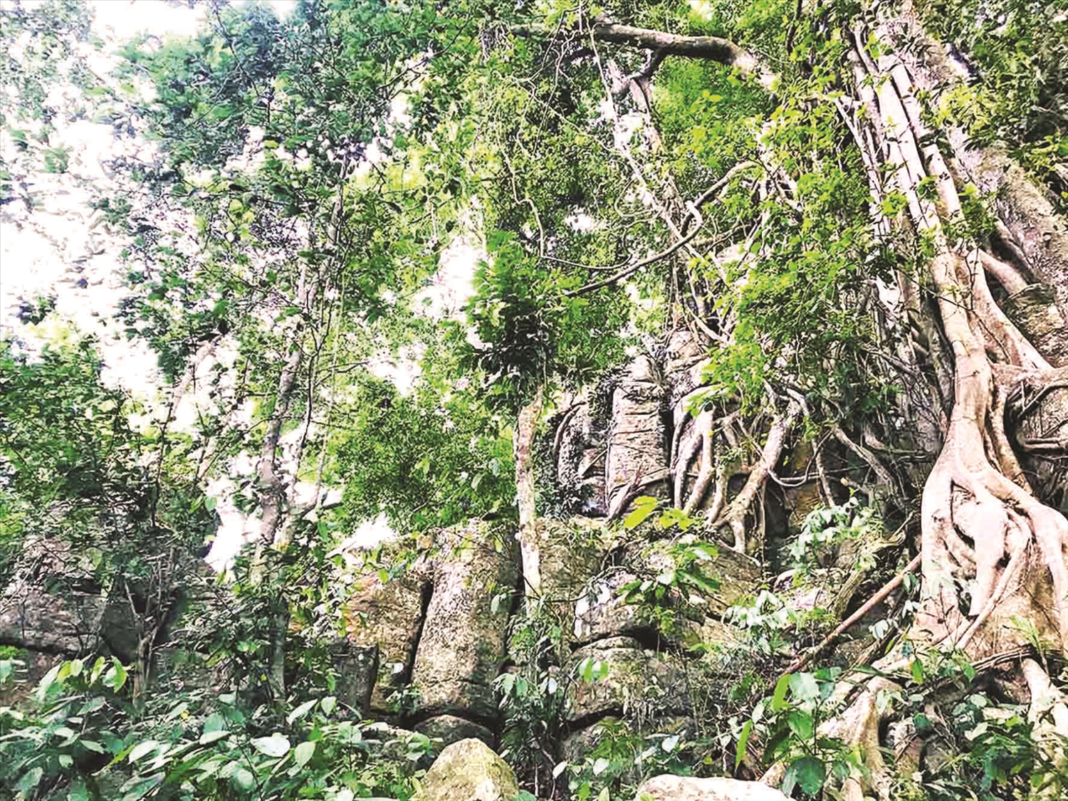 Kỳ th&uacute; th&agrave;nh đ&aacute; cổ T&agrave; Kơn- Ảnh 3.
