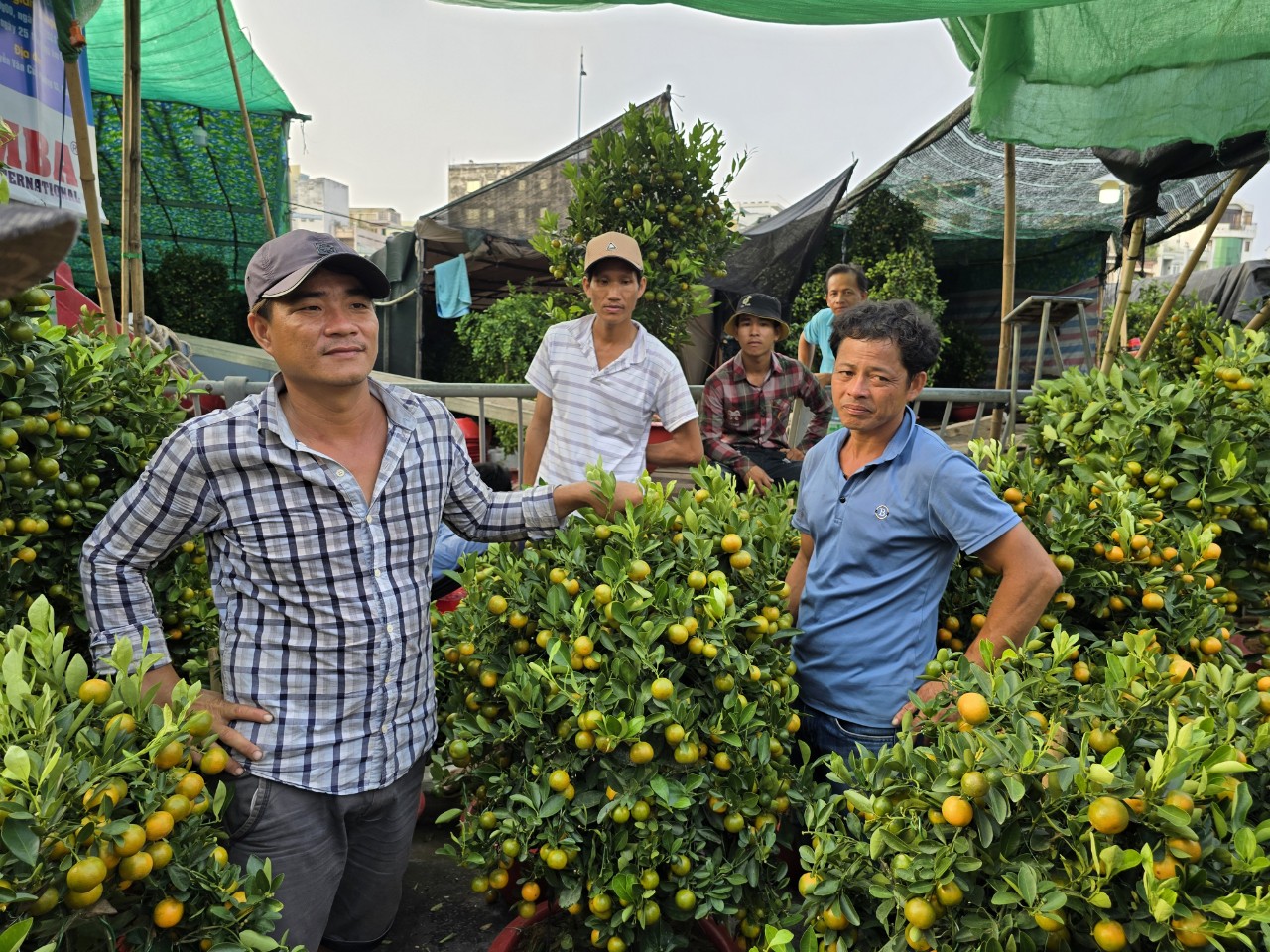 Nh&agrave; vườn b&ocirc;ng giấy thắng lớn ở Hội hoa xu&acirc;n Bến B&igrave;nh Đ&ocirc;ng- Ảnh 11.