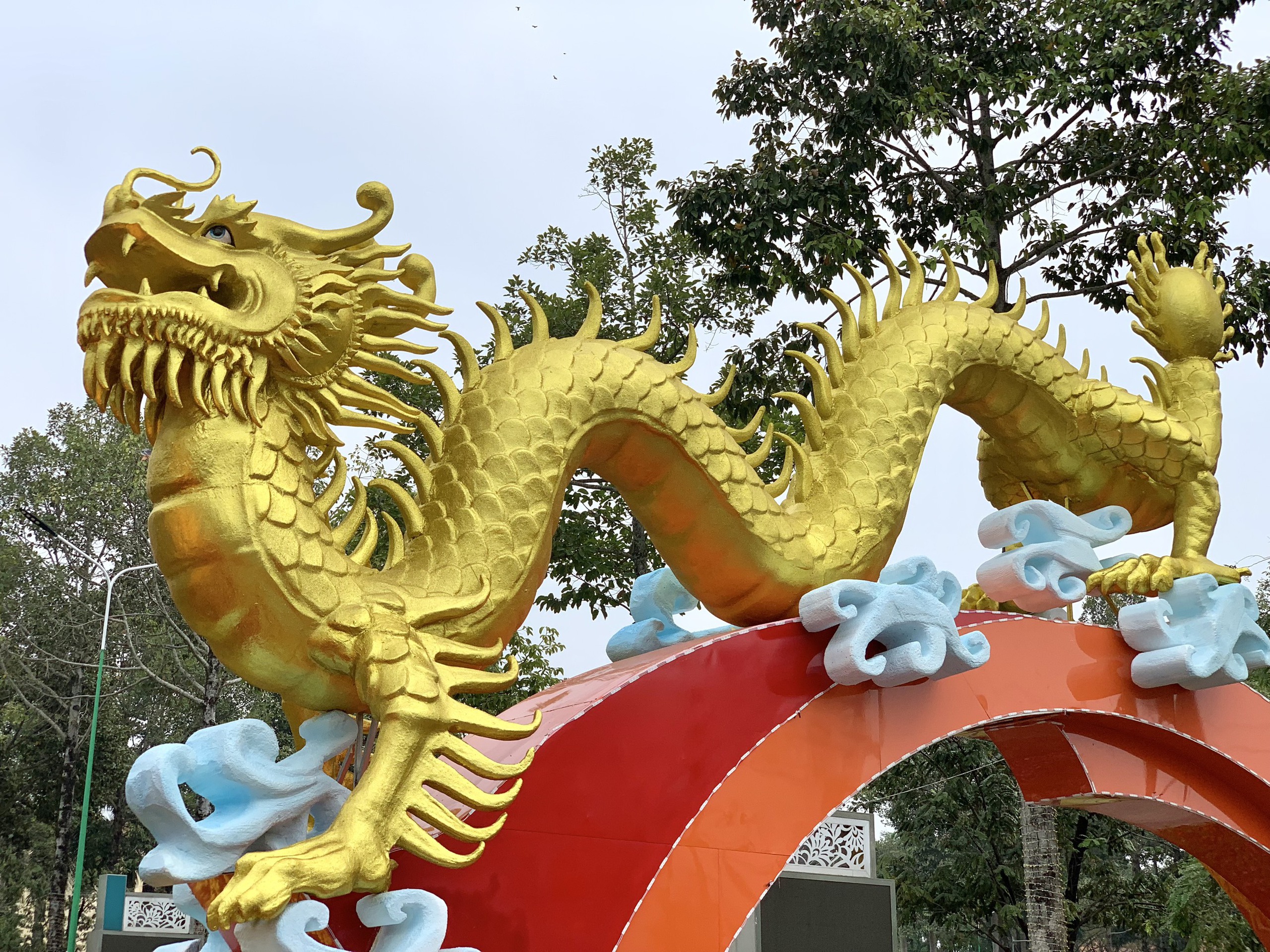 Đôi rồng vàng vừa lộ diện đã “hút” khách ở Bình Phước- Ảnh 2.
