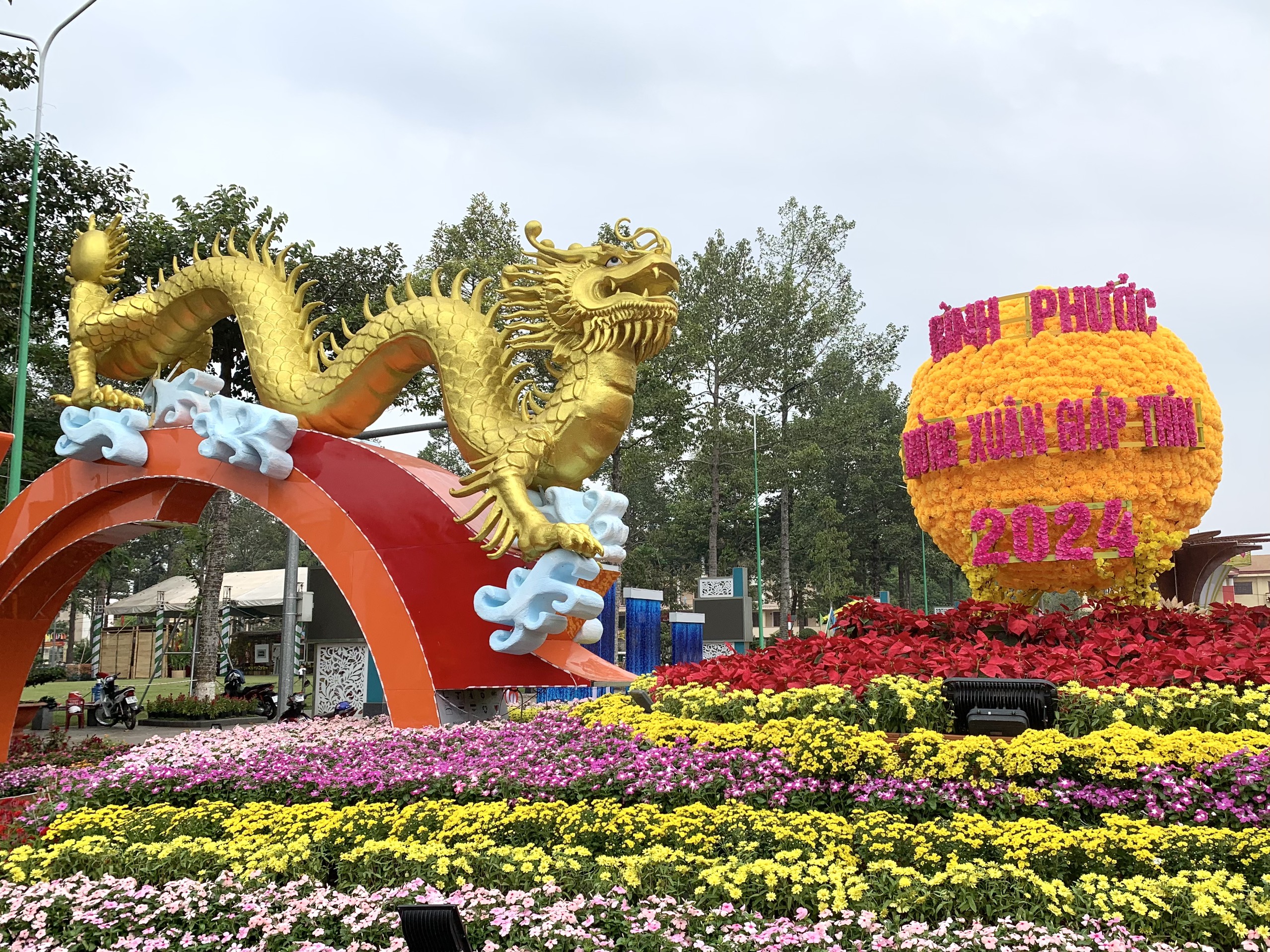Đôi rồng vàng vừa lộ diện đã “hút” khách ở Bình Phước- Ảnh 4.