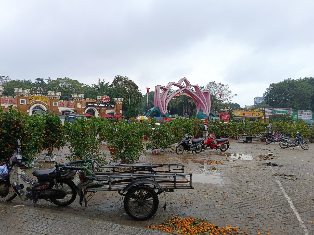 Chiều 30 Tết, cây cảnh giảm giá kịch sàn nhưng không có người mua- Ảnh 6.