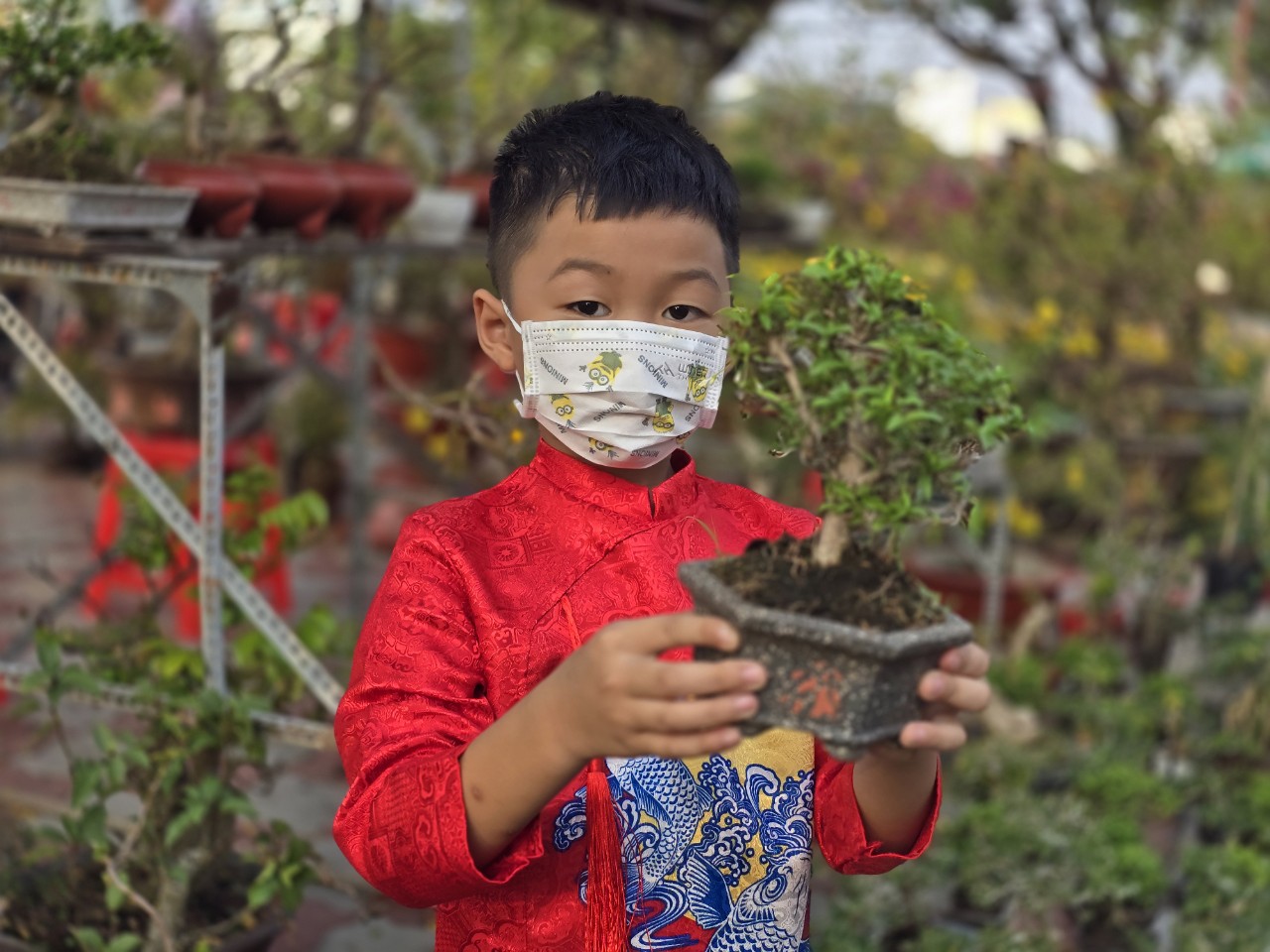 Nh&agrave; vườn b&ocirc;ng giấy thắng lớn ở Hội hoa xu&acirc;n Bến B&igrave;nh Đ&ocirc;ng- Ảnh 8.