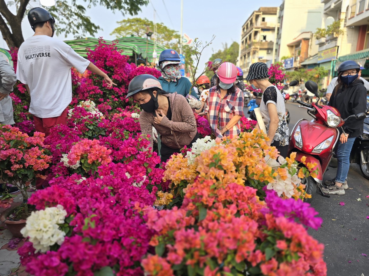 Nh&agrave; vườn b&ocirc;ng giấy thắng lớn ở Hội hoa xu&acirc;n Bến B&igrave;nh Đ&ocirc;ng- Ảnh 1.
