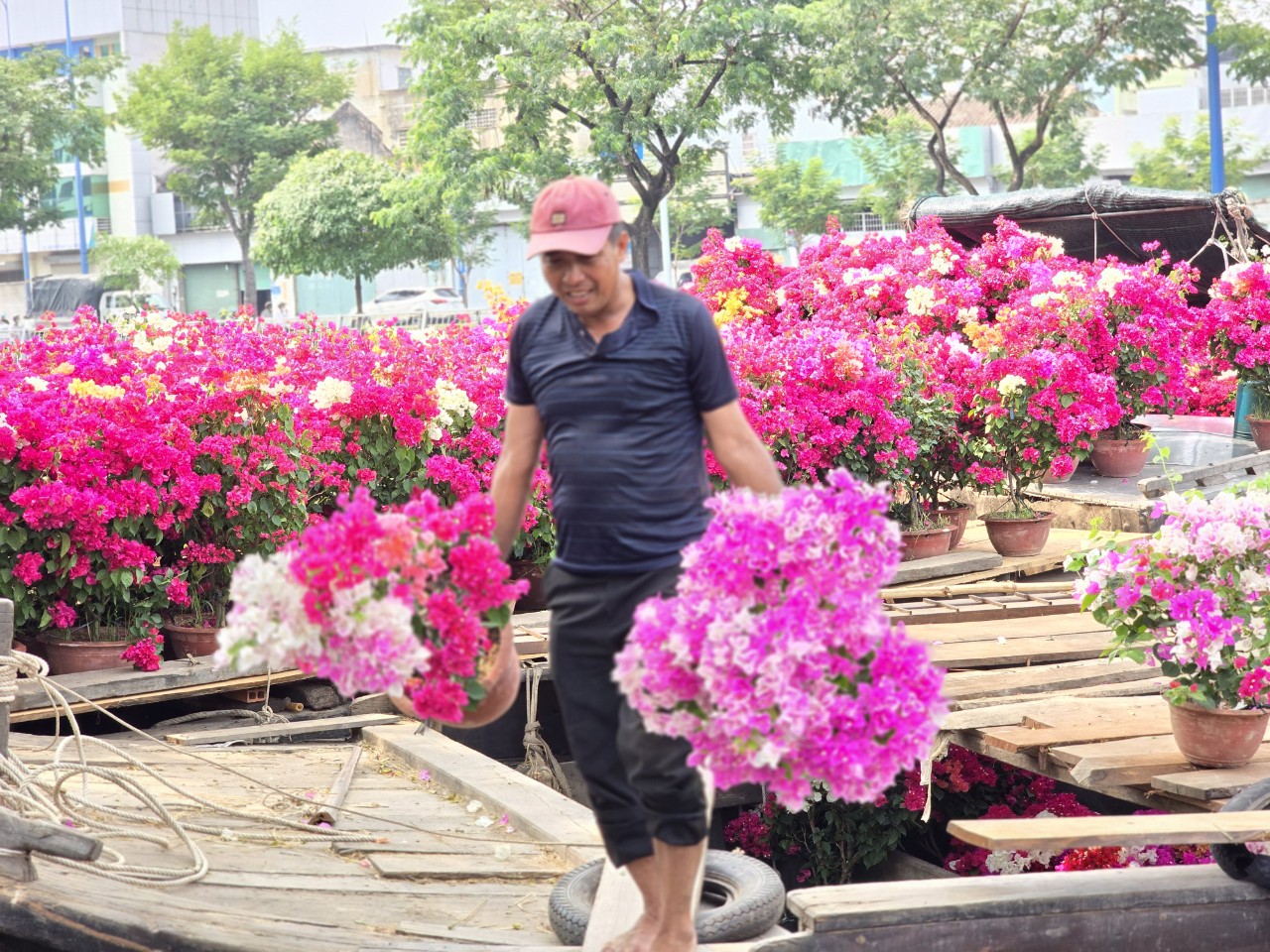 Nh&agrave; vườn b&ocirc;ng giấy thắng lớn ở Hội hoa xu&acirc;n Bến B&igrave;nh Đ&ocirc;ng- Ảnh 4.