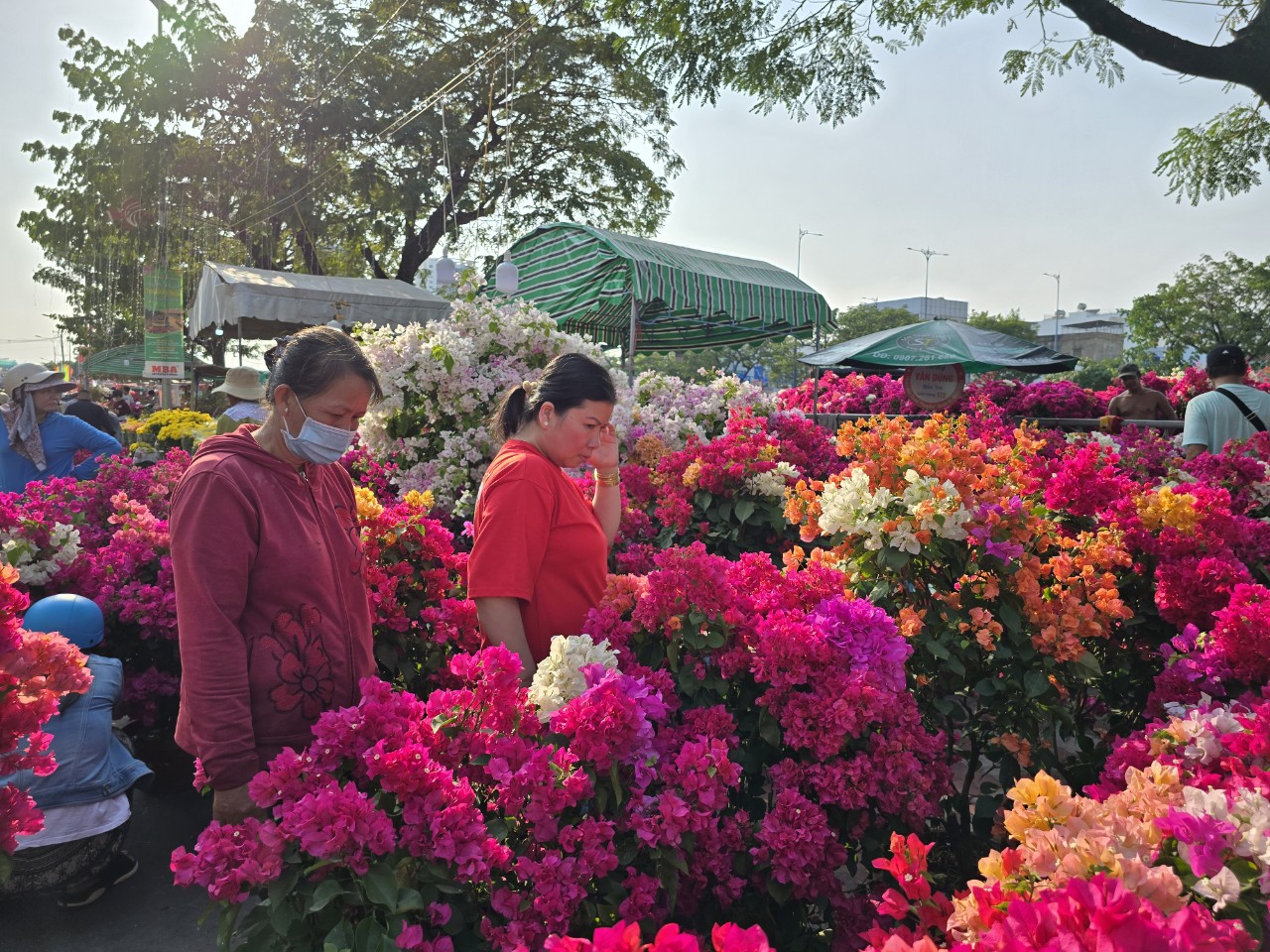 Nh&agrave; vườn b&ocirc;ng giấy thắng lớn ở Hội hoa xu&acirc;n Bến B&igrave;nh Đ&ocirc;ng- Ảnh 3.