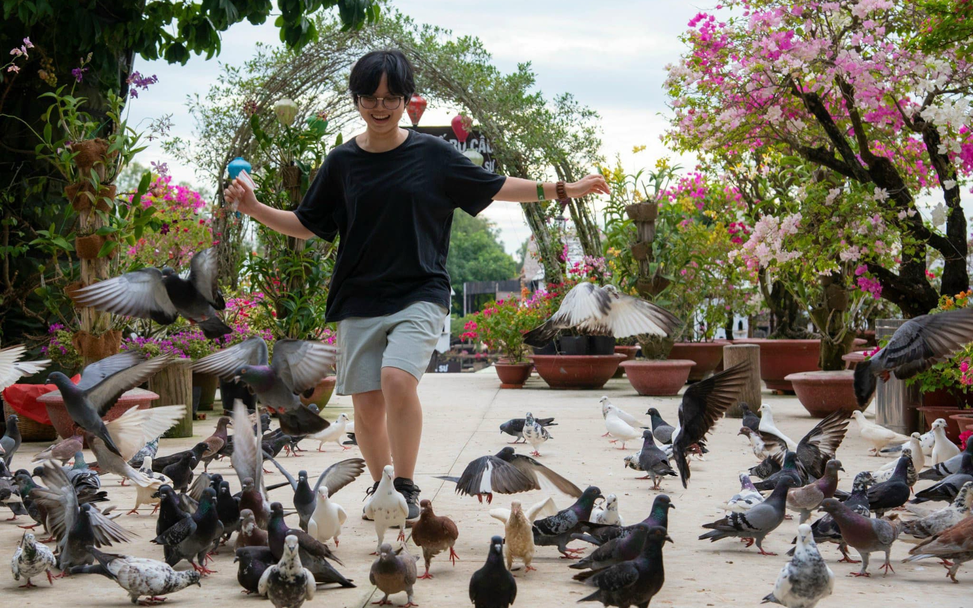 Nàng xuân “gõ cửa” Trà Sư