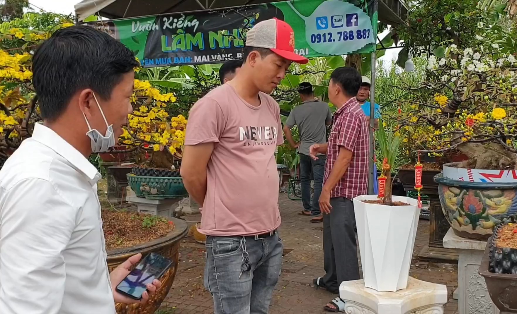CLIP: Cận cảnh c&acirc;y dừa độc lạ ở C&agrave; Mau- Ảnh 6.