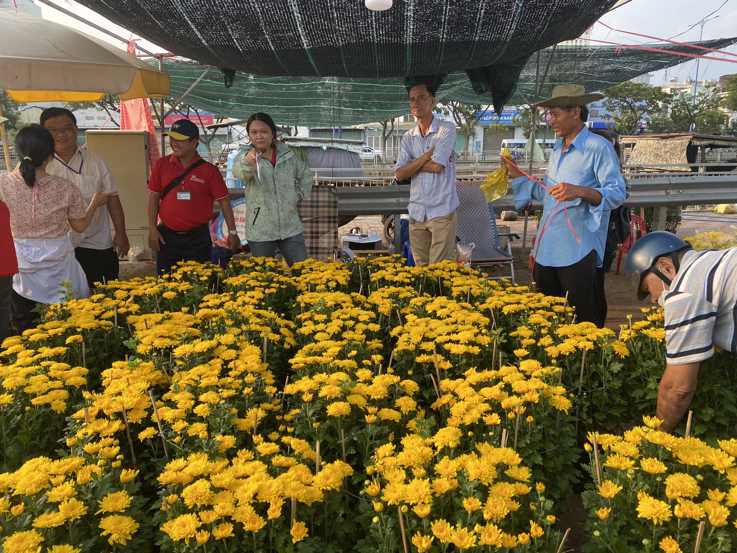 Tr&aacute;nh cảnh đập bỏ hoa, TP HCM mua hơn 9.000 chậu hoa Tết của tiểu thương- Ảnh 2.