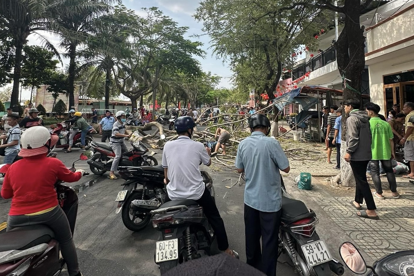 Giải cứu c&ocirc; g&aacute;i bị c&acirc;y phượng bật gốc đ&egrave; ngất xỉu chiều 30 Tết- Ảnh 3.