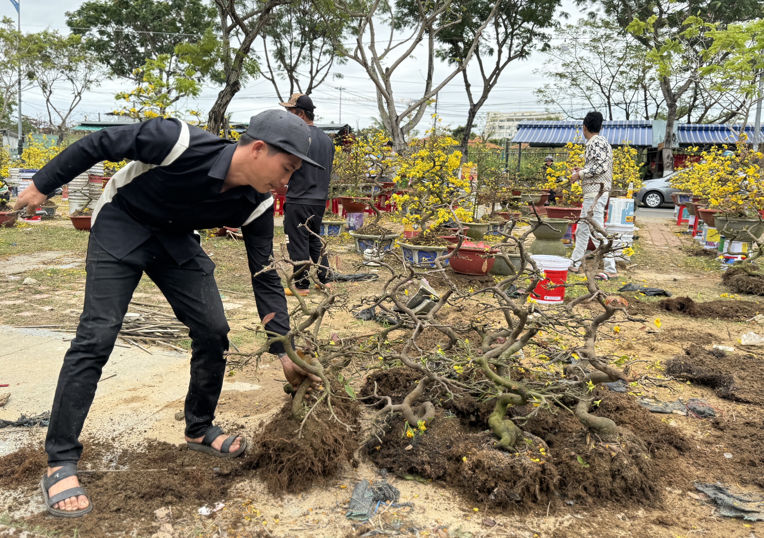 Mai đại hạ giá vẫn ế, nhiều tiểu thương đập chậu lấy gốc chở về - Ảnh 2.
