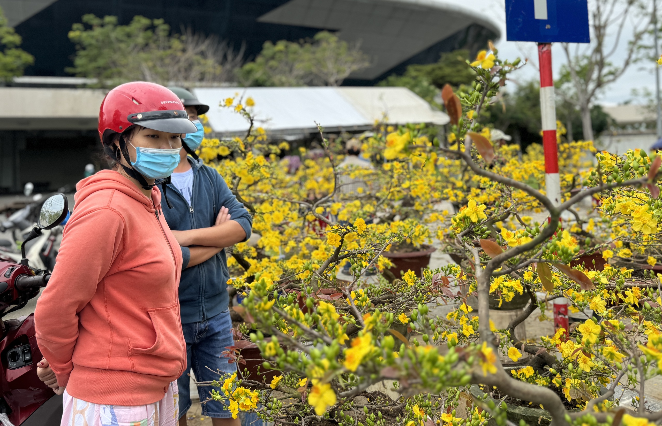 Mai đại hạ giá vẫn ế, nhiều tiểu thương đập chậu lấy gốc chở về - Ảnh 7.