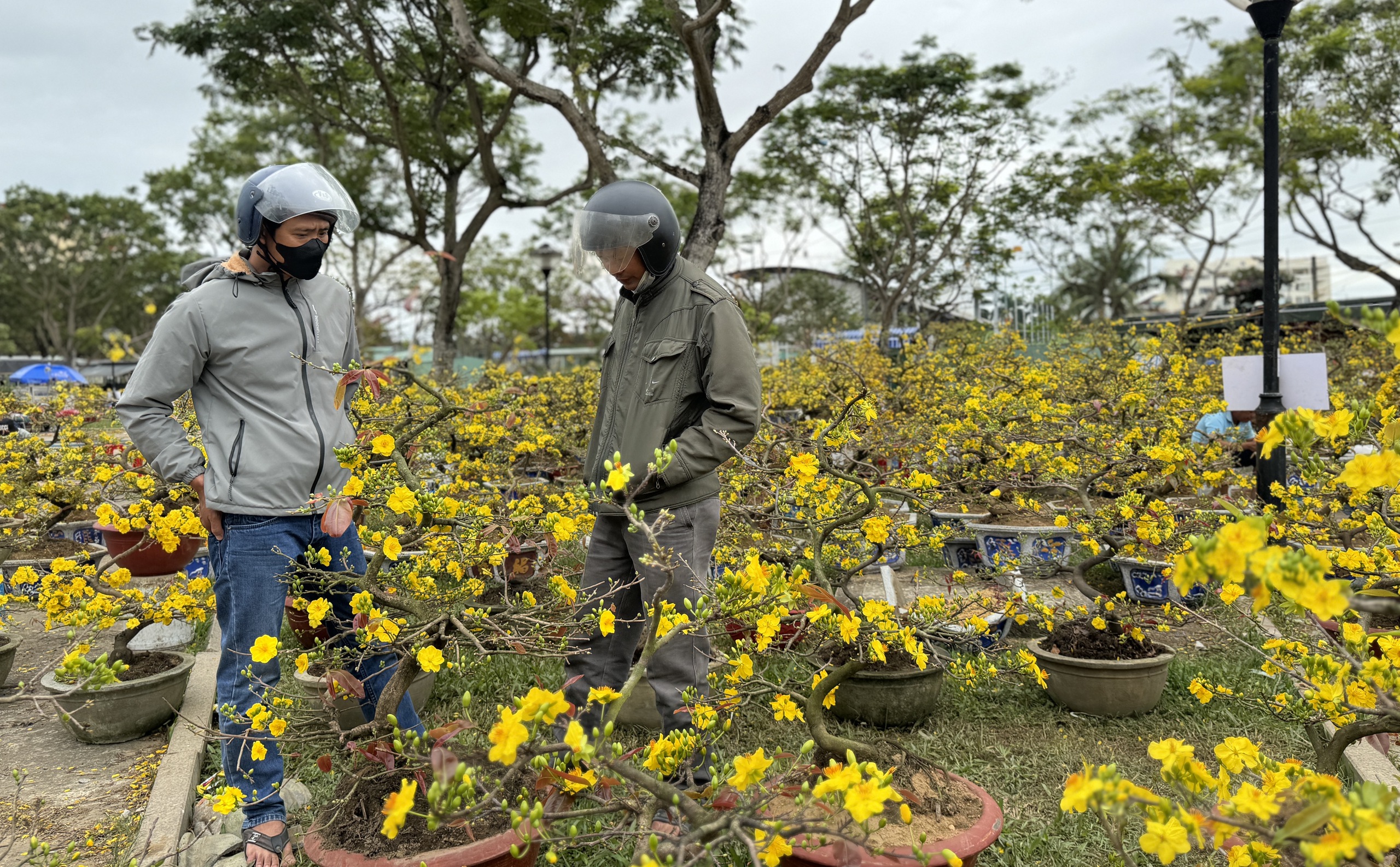 Mai đại hạ giá vẫn ế, nhiều tiểu thương đập chậu lấy gốc chở về - Ảnh 8.