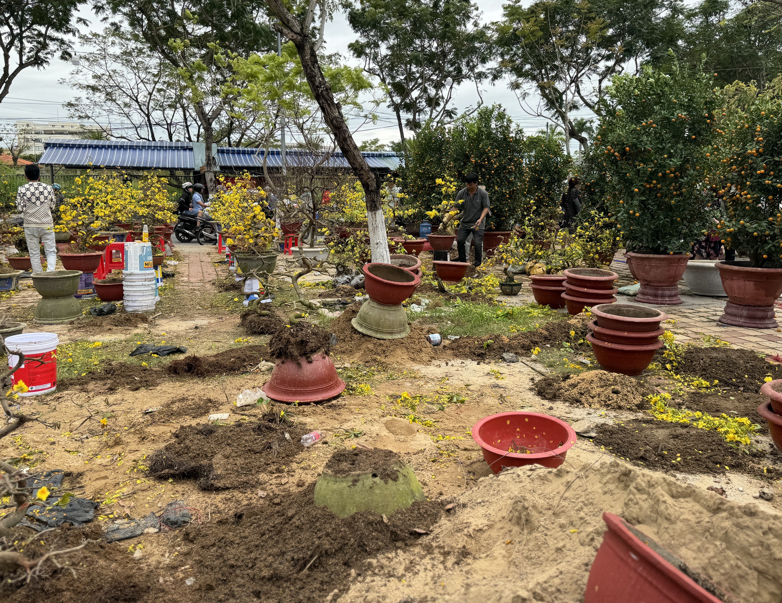 Mai đại hạ giá vẫn ế, nhiều tiểu thương đập chậu lấy gốc chở về - Ảnh 4.
