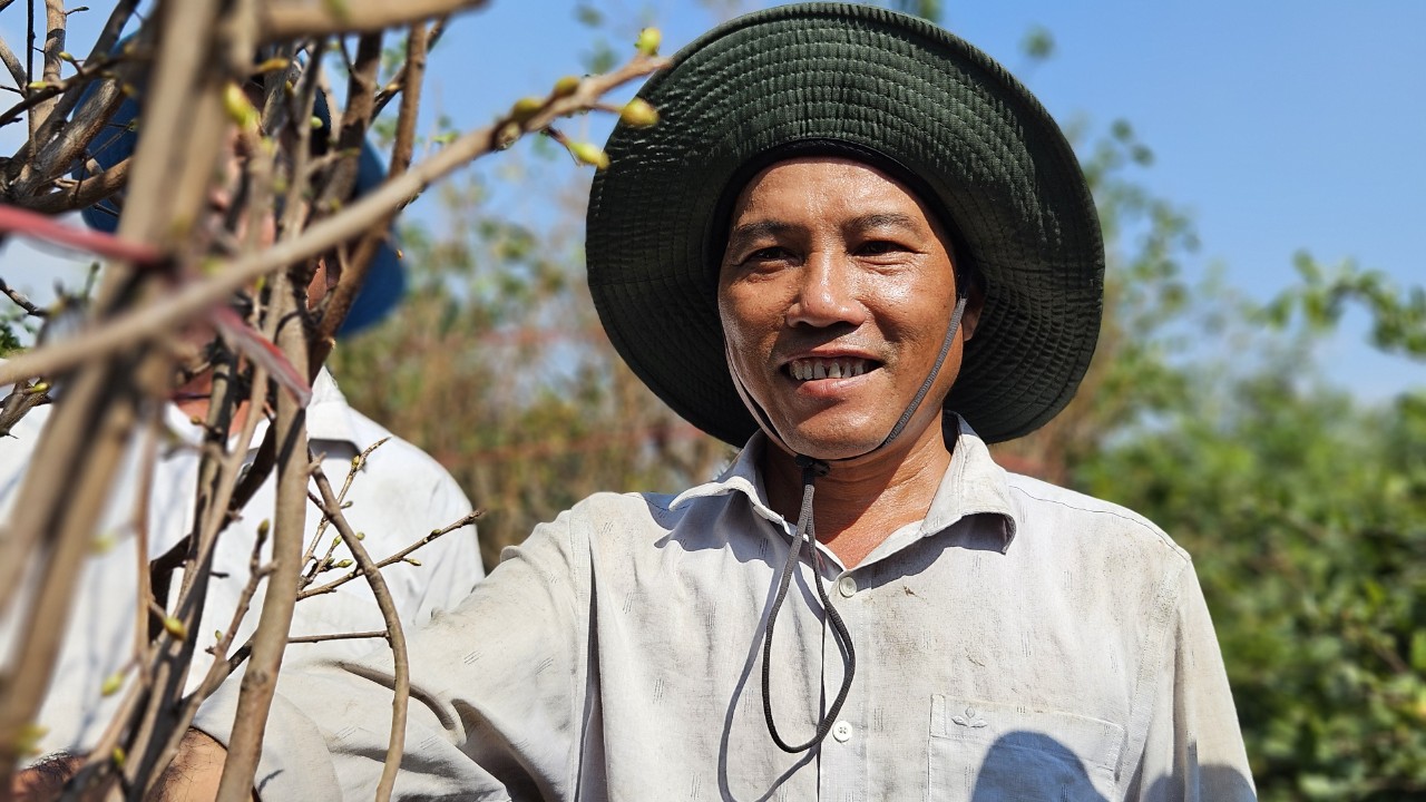 Ông Dương Đức Xuyên đã gầy dựng được 16 ha đất trồng mai trong vòng 20 năm