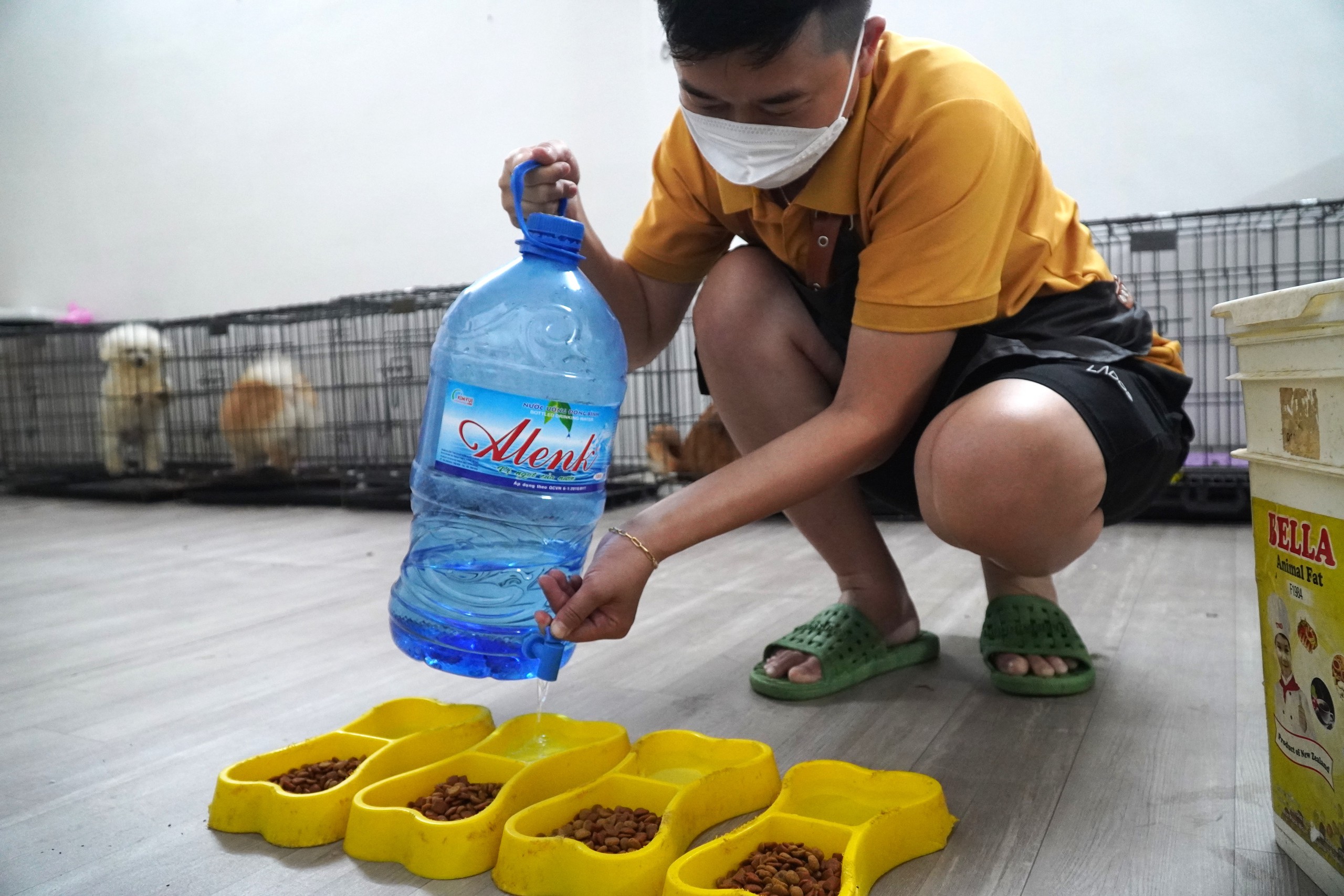 Muôn kiểu “trông” thú cưng mùa Tết- Ảnh 5.