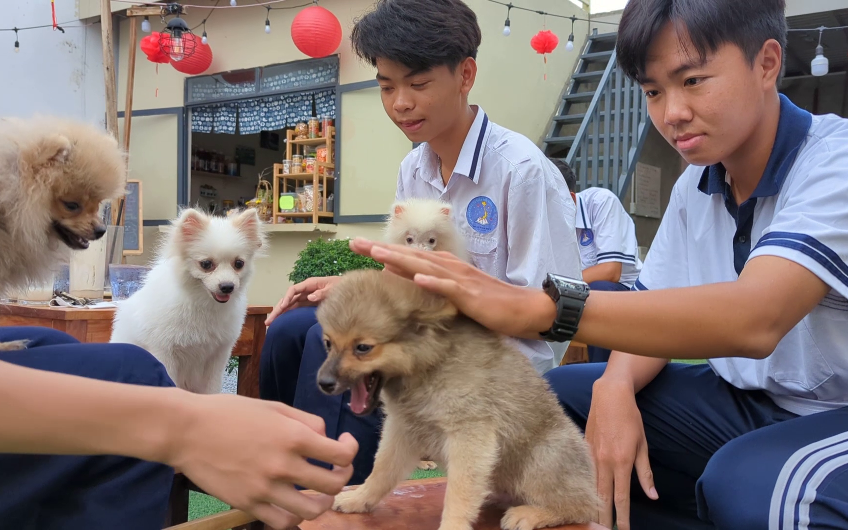 VIDEO: Quán cà phê thú cưng đáng yêu ở Cần Thơ