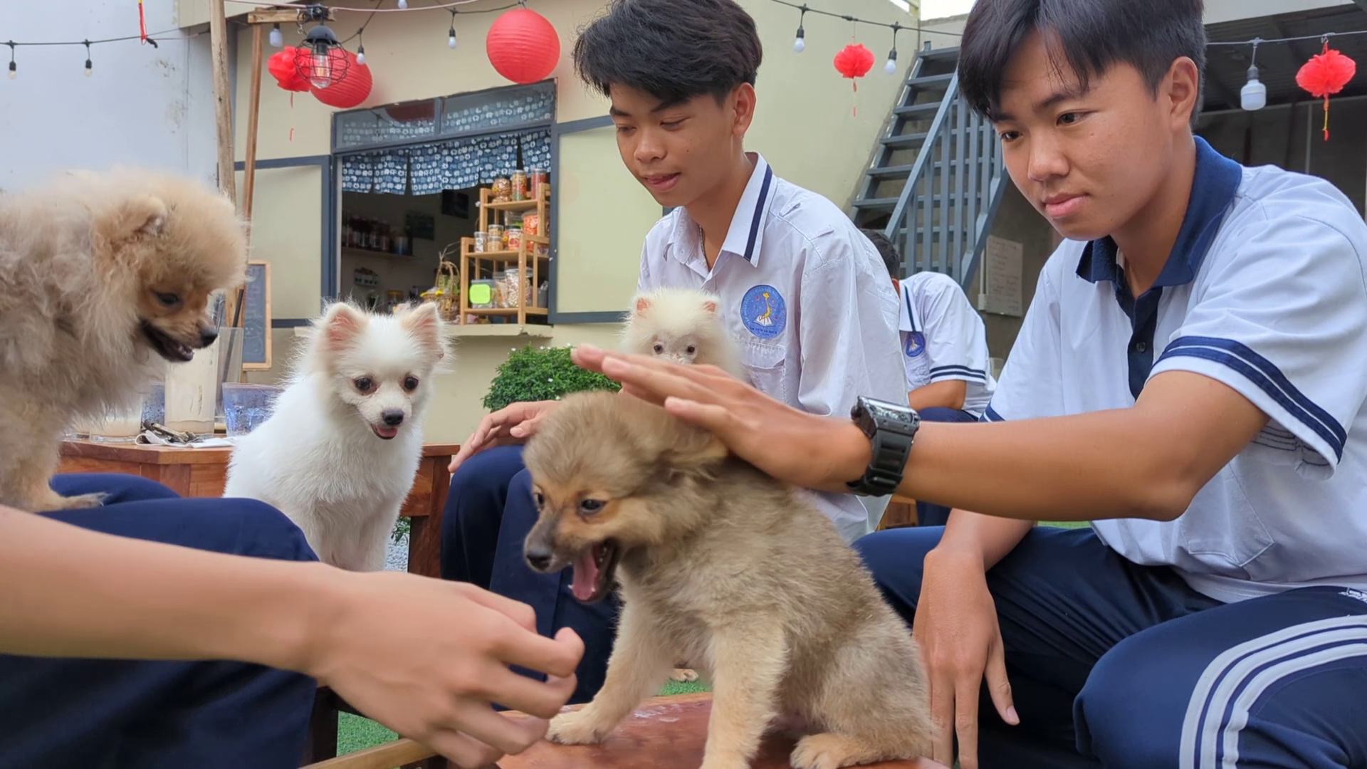 VIDEO: Quán cà phê thú cưng đáng yêu ở Cần Thơ- Ảnh 1.