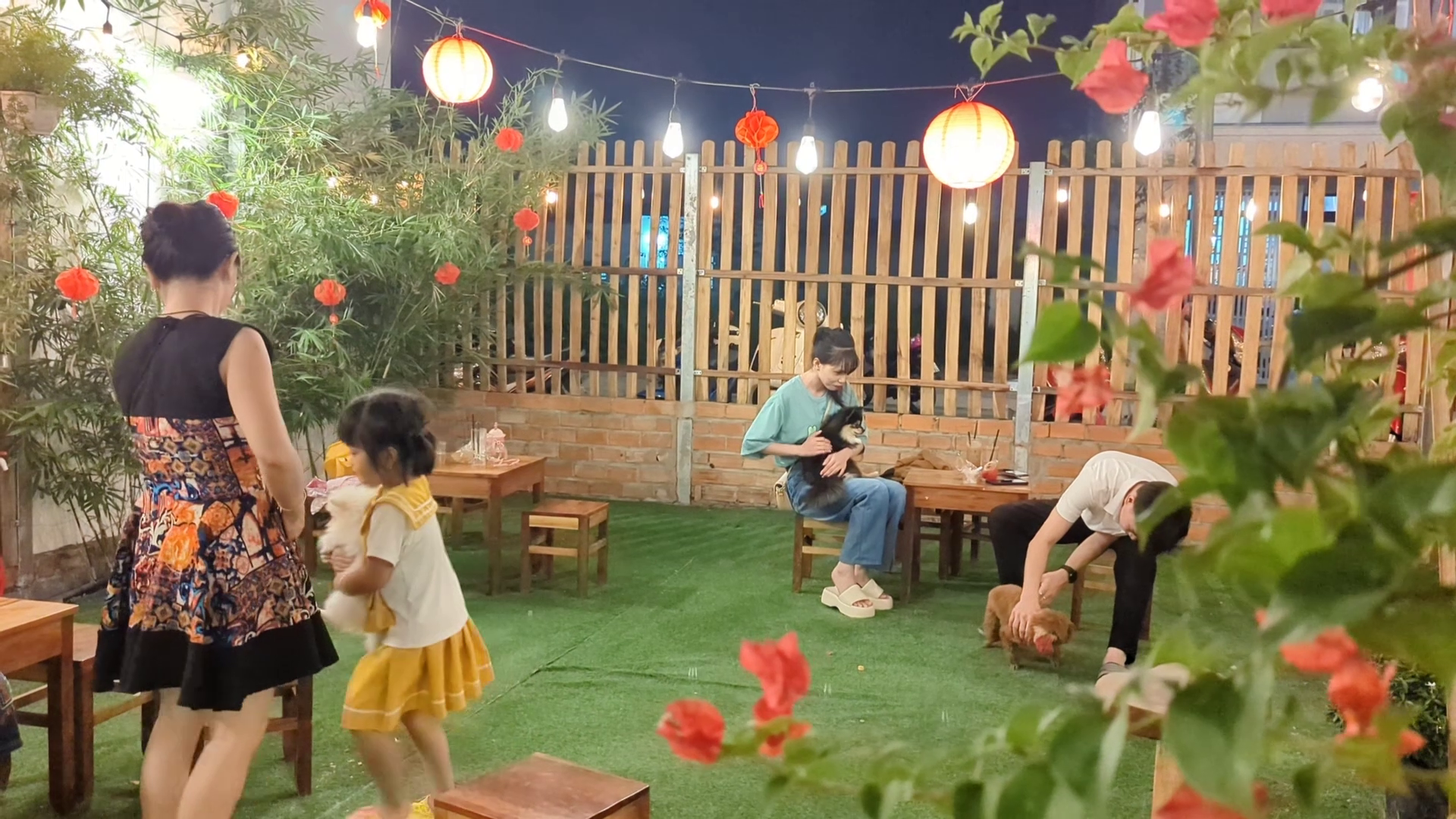 VIDEO: Quán cà phê thú cưng đáng yêu ở Cần Thơ- Ảnh 5.