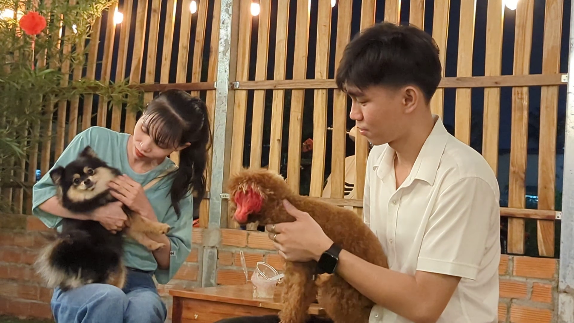 VIDEO: Quán cà phê thú cưng đáng yêu ở Cần Thơ- Ảnh 6.