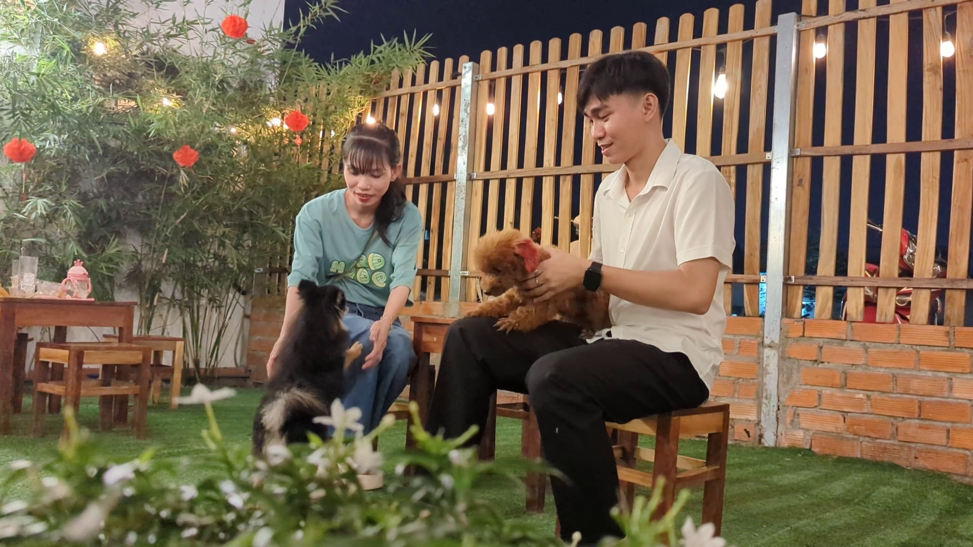 VIDEO: Quán cà phê thú cưng đáng yêu ở Cần Thơ- Ảnh 8.