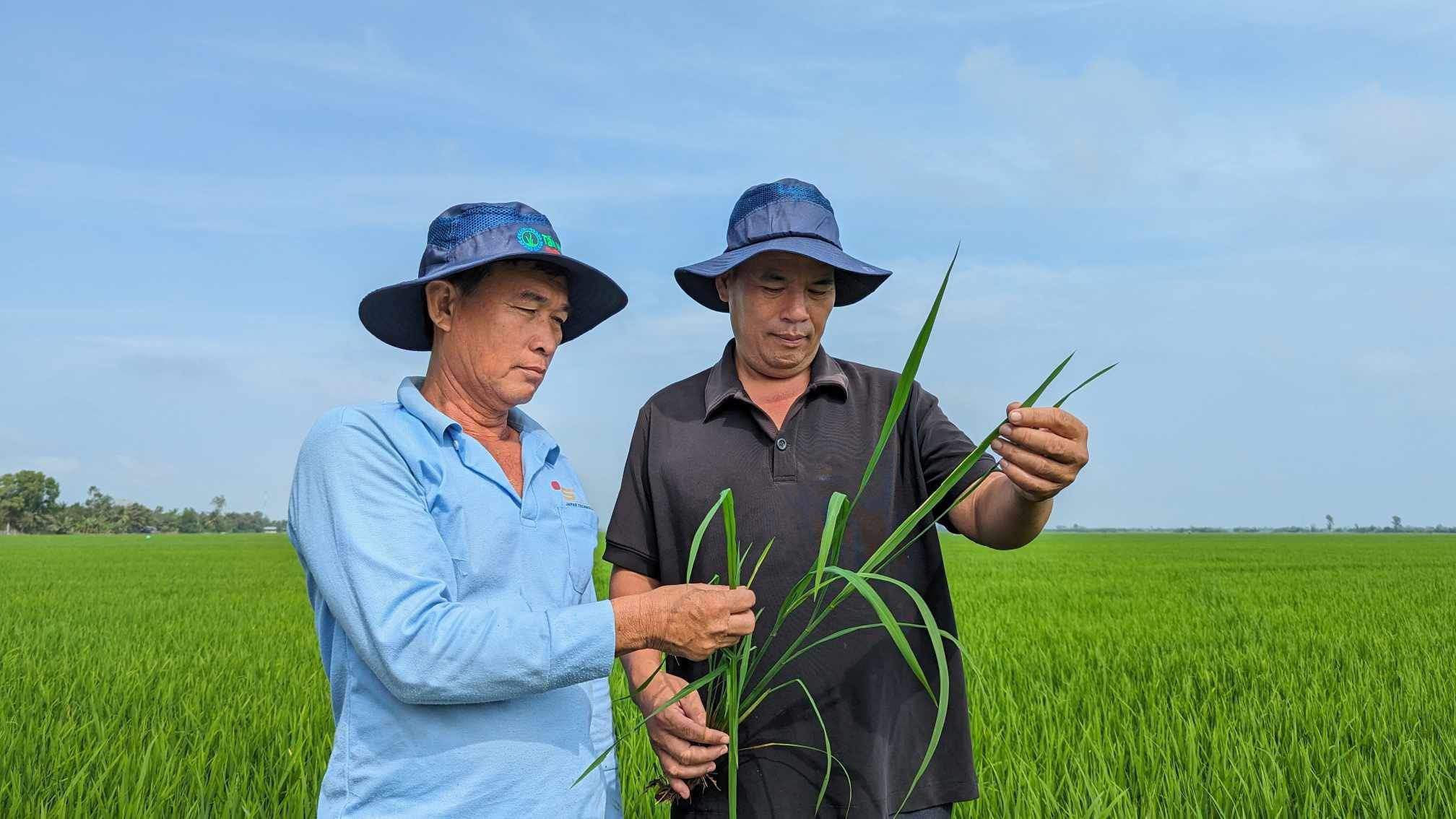 Bí thư Nguyễn Văn Hiếu: Đã có quy hoạch mà còn tự phát là do quản lý kém- Ảnh 3.