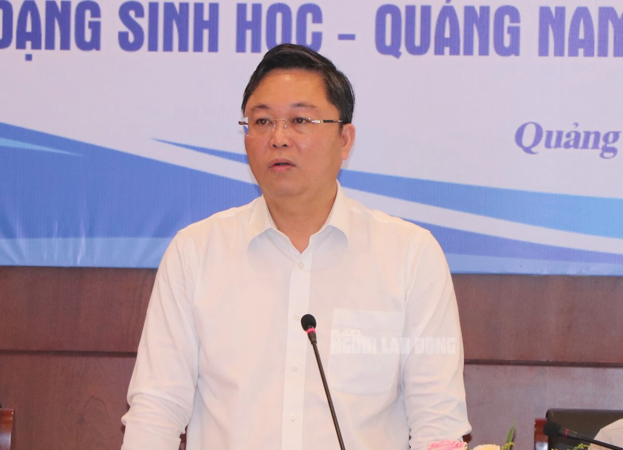 Quảng Nam đặt mục tiêu trở thành tỉnh khá của cả nước vào năm 2030- Ảnh 1.