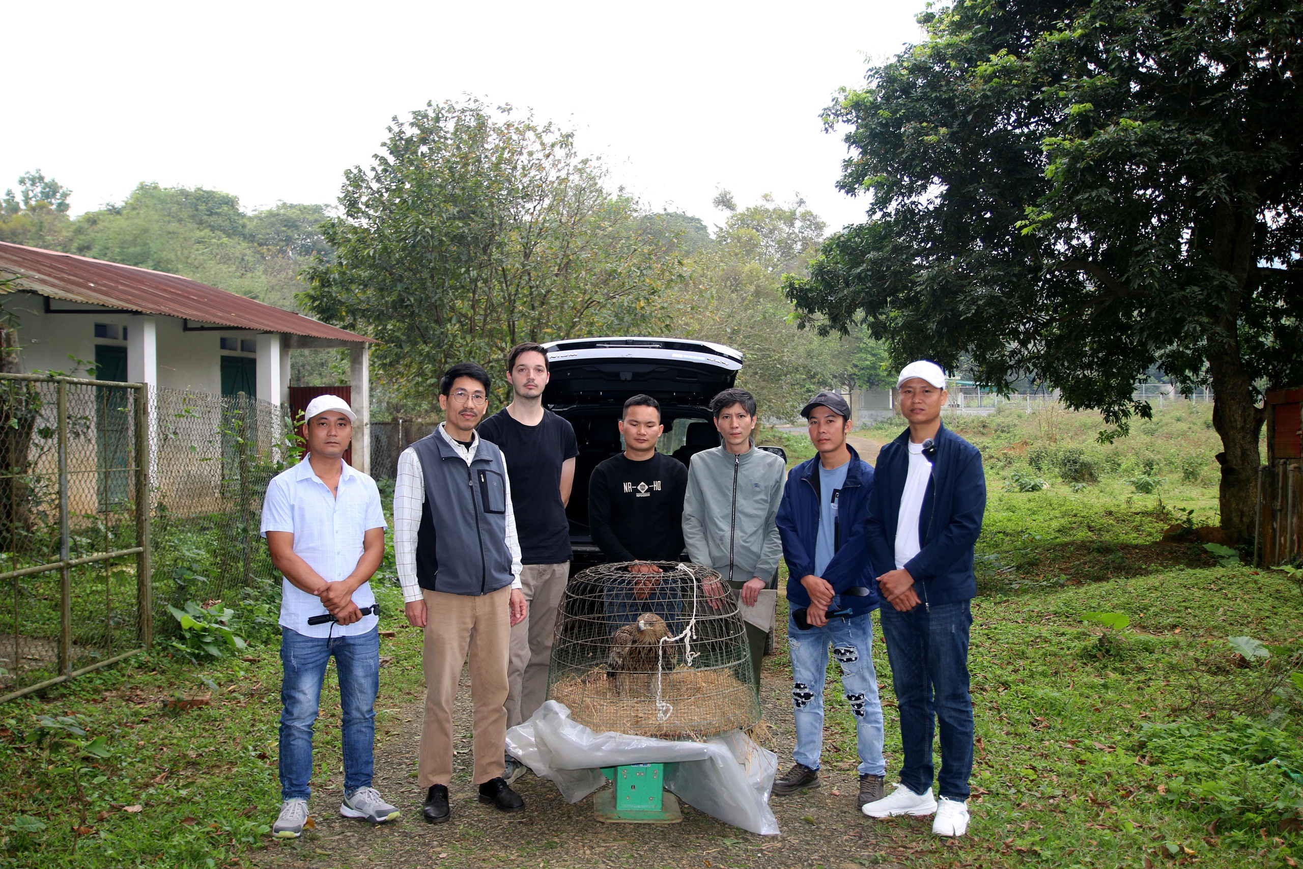Cứu hộ Đại b&agrave;ng đầu n&acirc;u cực kỳ qu&yacute; hiếm- Ảnh 2.