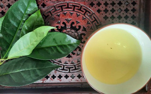 Chè xanh xứ Nghệ