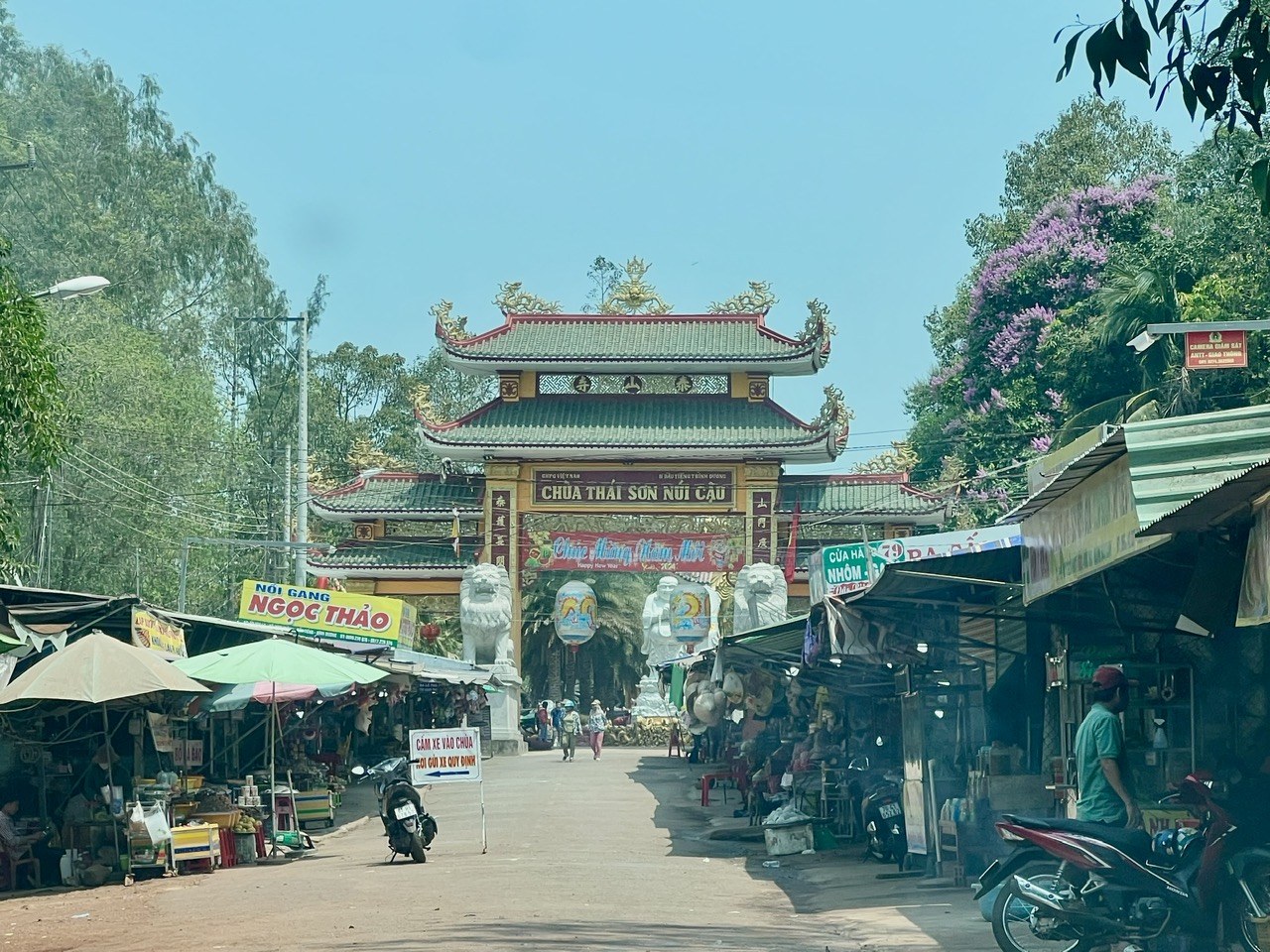 Cận cảnh rừng ph&ograve;ng hộ n&uacute;i Cậu- Dầu Tiếng trong m&ugrave;a nắng n&oacute;ng - Ảnh 2.