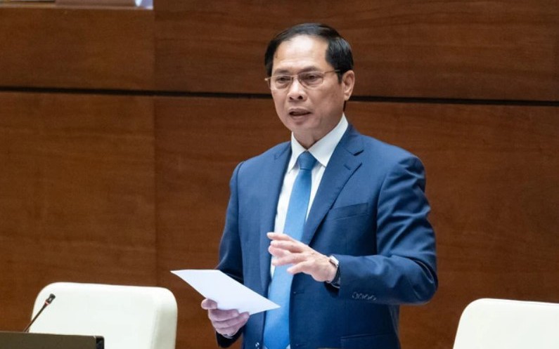 Bộ trưởng Bùi Thanh Sơn trả lời về việc du học sinh Việt Nam trốn ở lại