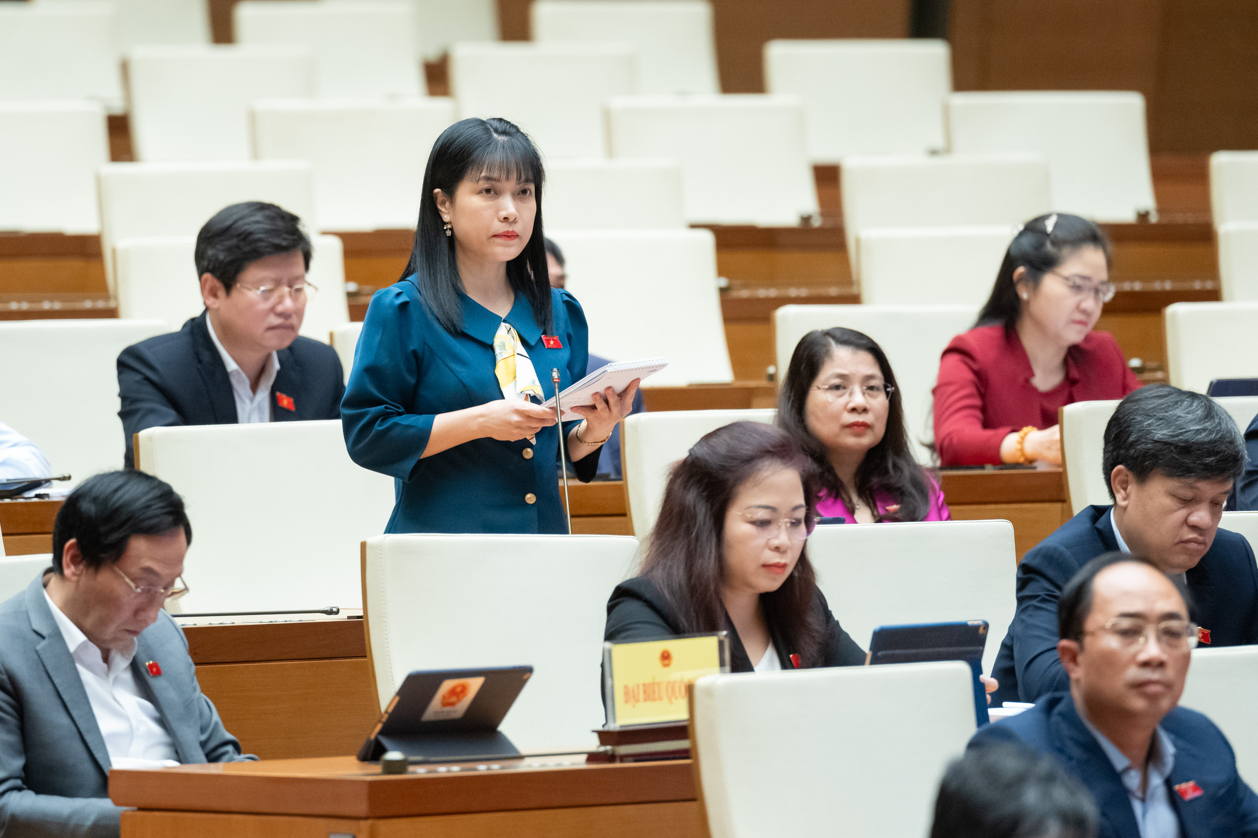 Đại biểu chất vấn Bộ trưởng Bộ Ngoại giao việc