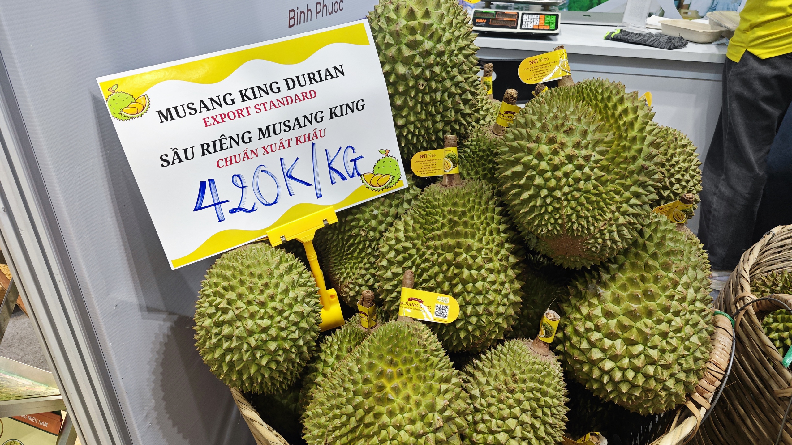 Sầu riêng Musang King loạn giá- Ảnh 2.