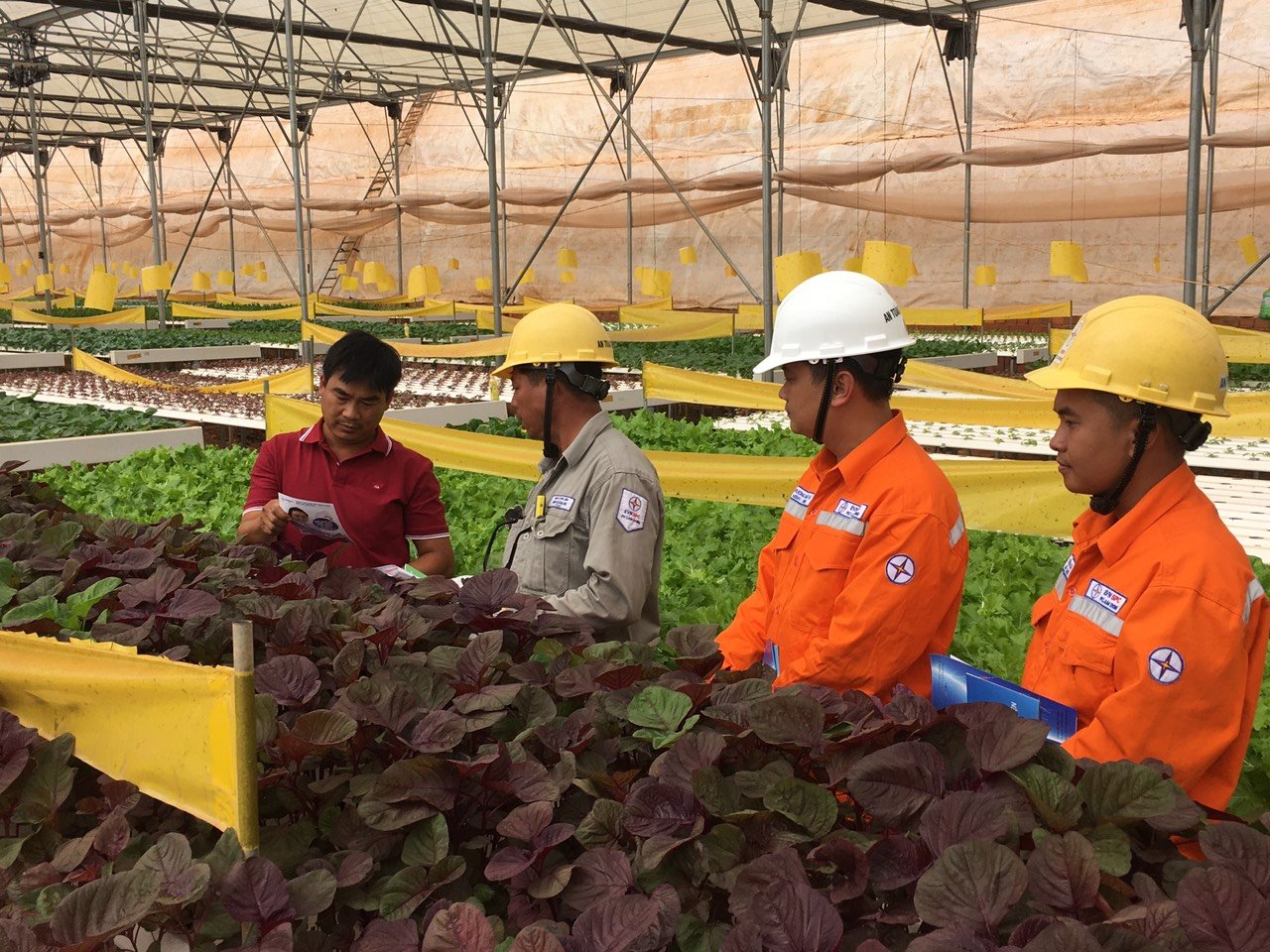 A group of people in a greenhouse Description automatically generated