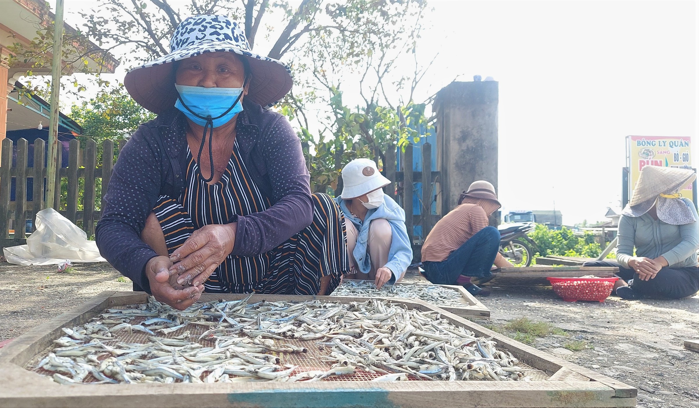 Đưa c&aacute; đi t&igrave;m nắng- Ảnh 2.
