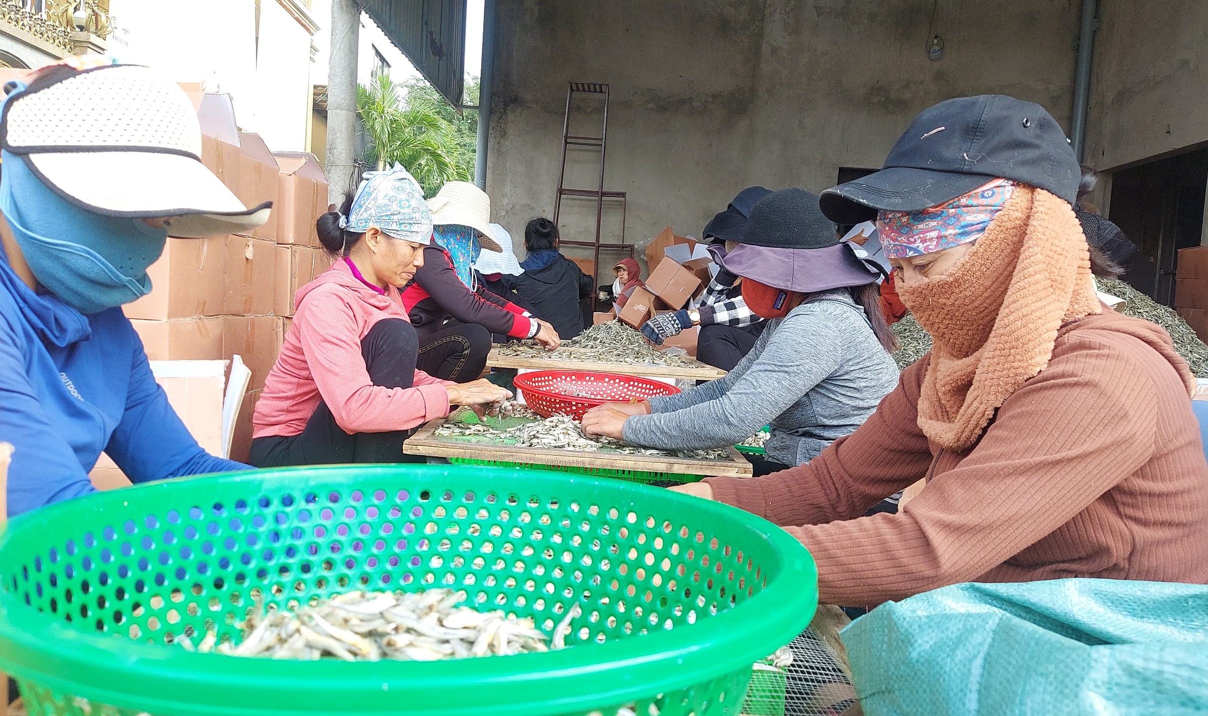 Đưa c&aacute; đi t&igrave;m nắng- Ảnh 3.