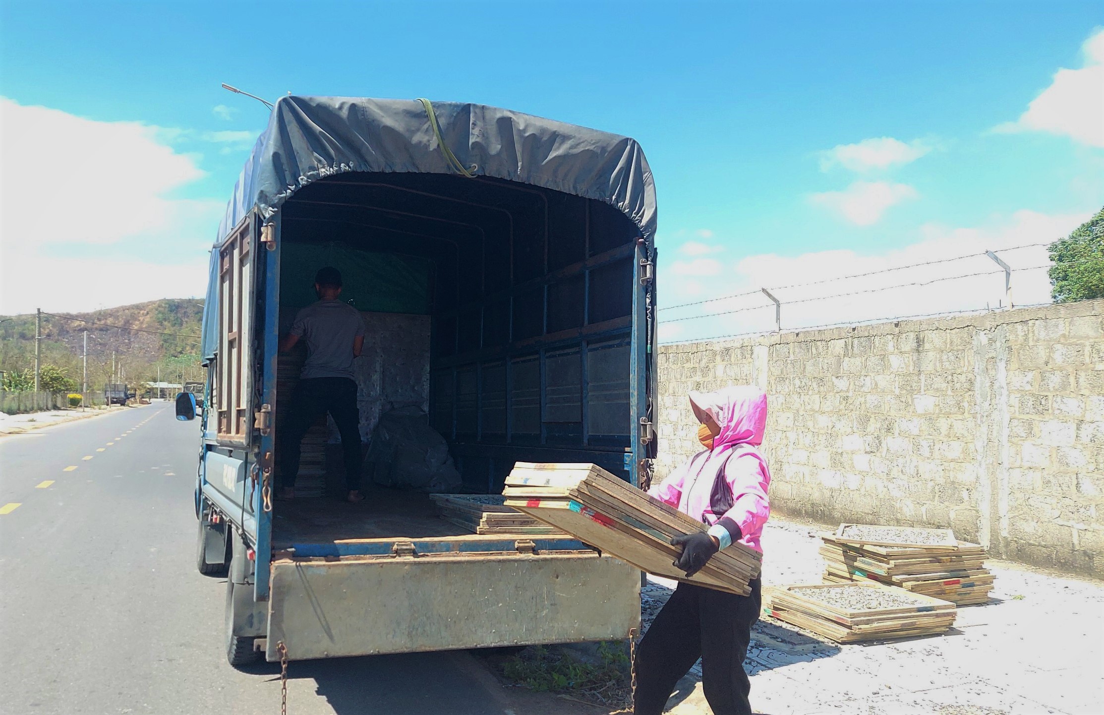 Đưa c&aacute; đi t&igrave;m nắng- Ảnh 4.