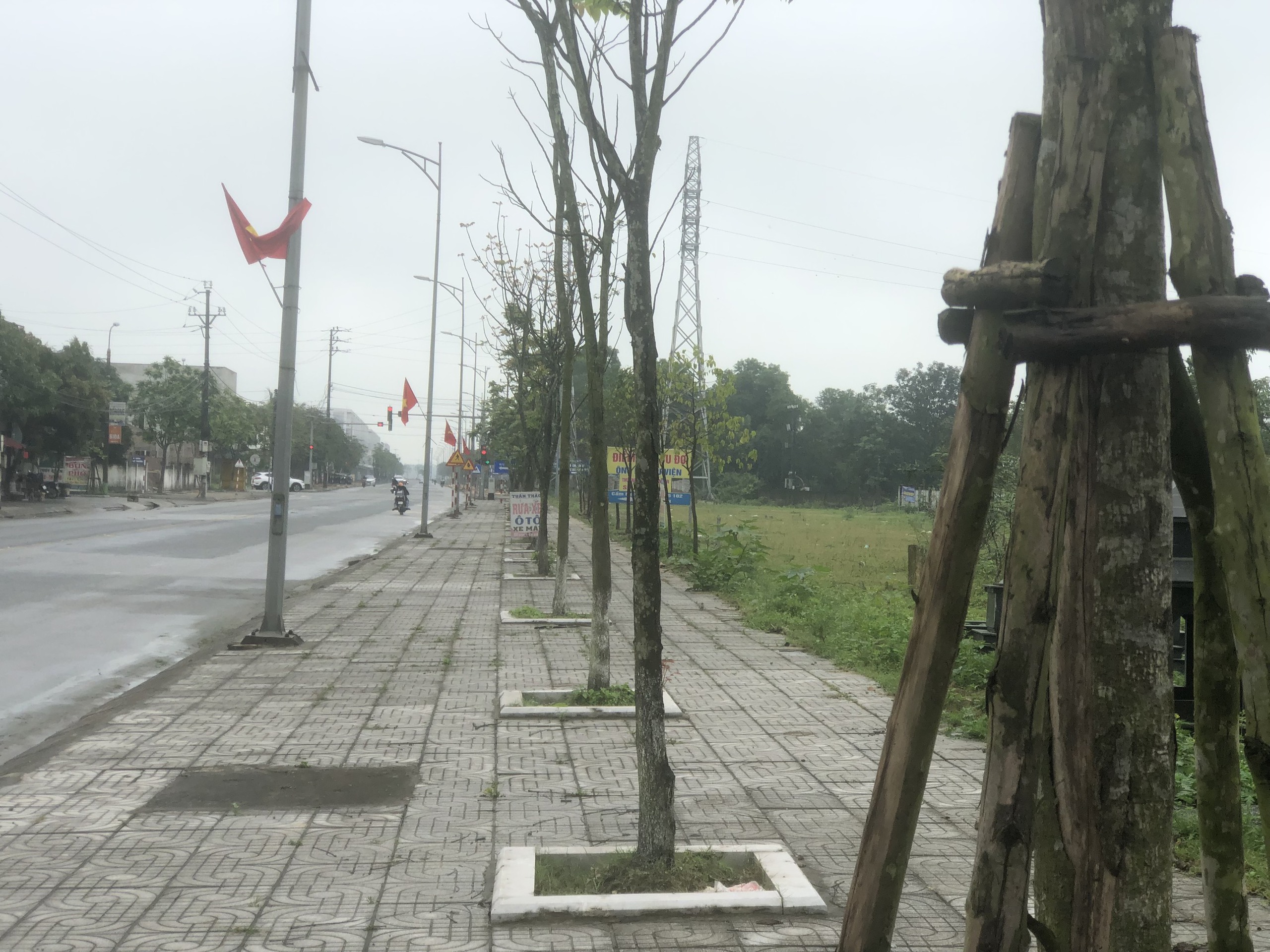H&agrave; Tĩnh r&agrave; so&aacute;t lại c&aacute;c dự &aacute;n trồng c&acirc;y xanh sau y&ecirc;u cầu của Bộ C&ocirc;ng an- Ảnh 1.