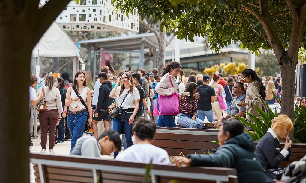 Khu&ocirc;n vi&ecirc;n Trường ĐH Deakin, &Uacute;c. Ảnh: Deakin University