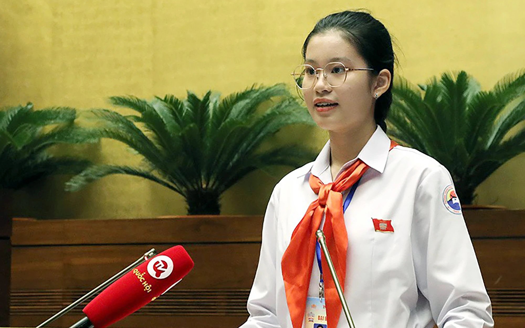 Nữ sinh lớp 9 được vinh danh Gương mặt trẻ Việt Nam tiêu biểu
