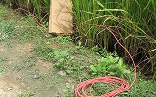 Cụ ông 76 tuổi giăng điện bẫy chuột gây chết người